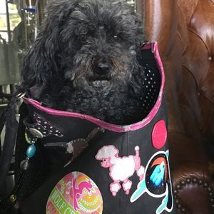 Meet your Posher, Sandi